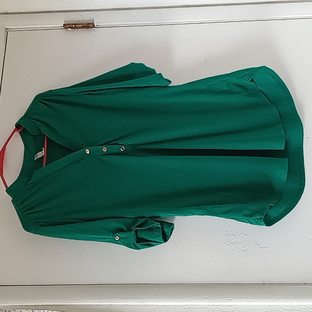 Perception Concepts green Blouse